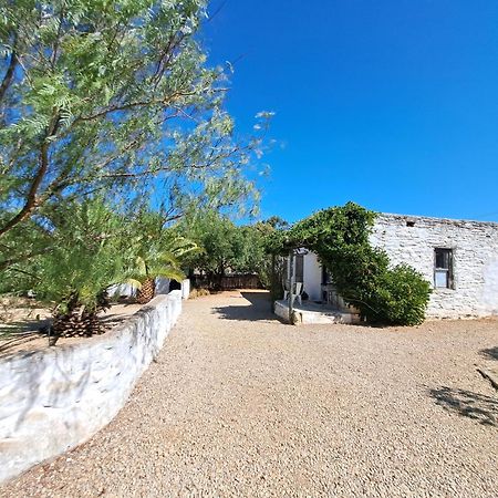 Olive Grove Cottage Koringberg Екстериор снимка