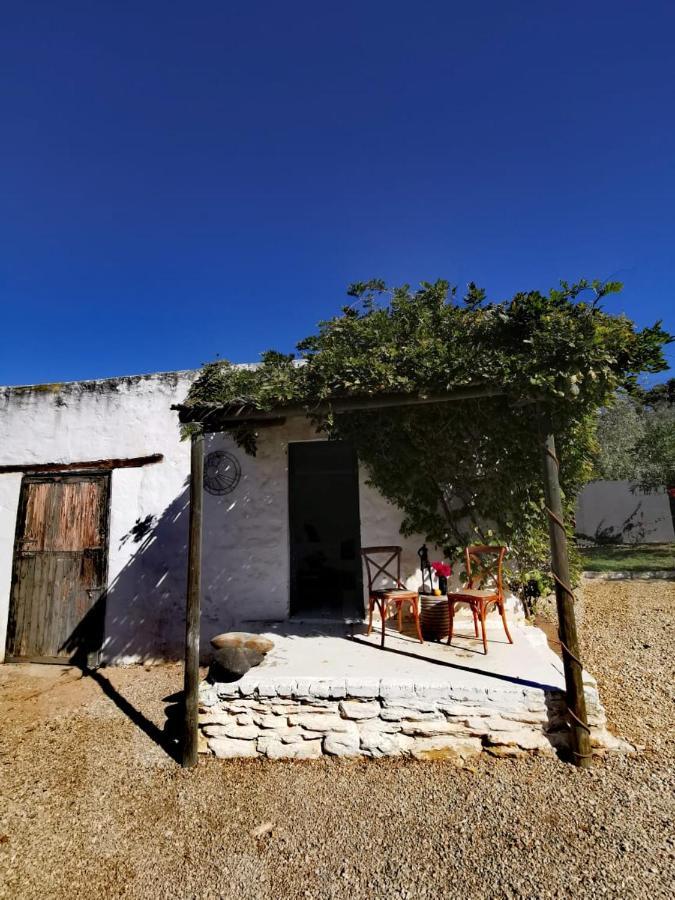 Olive Grove Cottage Koringberg Екстериор снимка
