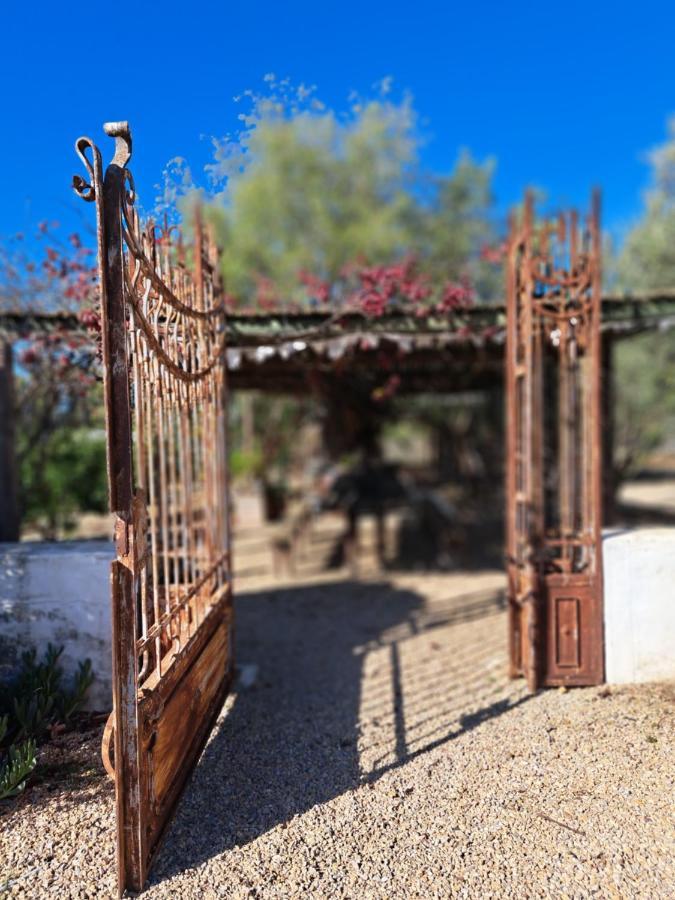 Olive Grove Cottage Koringberg Екстериор снимка