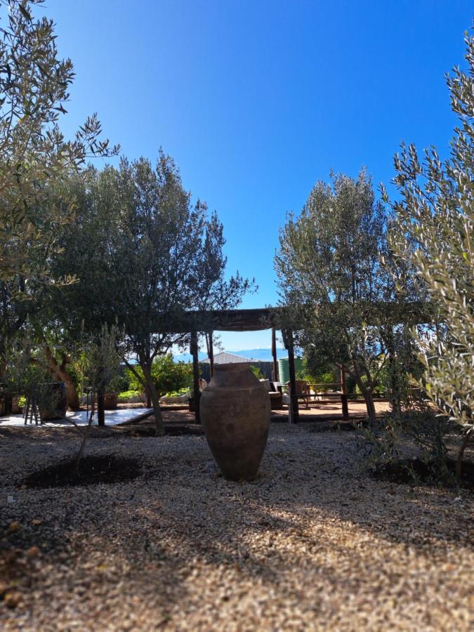 Olive Grove Cottage Koringberg Екстериор снимка
